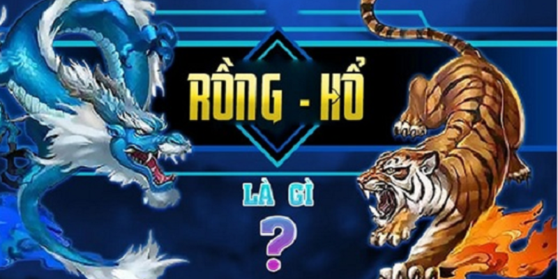 Cách tăng cơ hội thắng hiệu quả